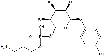 arbutin-6-phosphoethanolamine