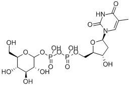 DTDP-A-D-GLUCOSE