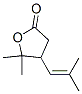 4,5-Dihydro-5,5-dimethyl-4-(2-methyl-1-propenyl)furan-2(3H)-one