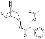 [7(S)-(1α,2β,4β,5α,7β)]- α-[(Acetyloxy)Methyl]-benzeneacetic Acid 3-Oxa-9-azatricyclo[3.3.1.02,4]non-7-yl Ester