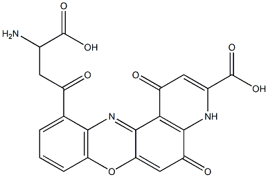 xanthommatin