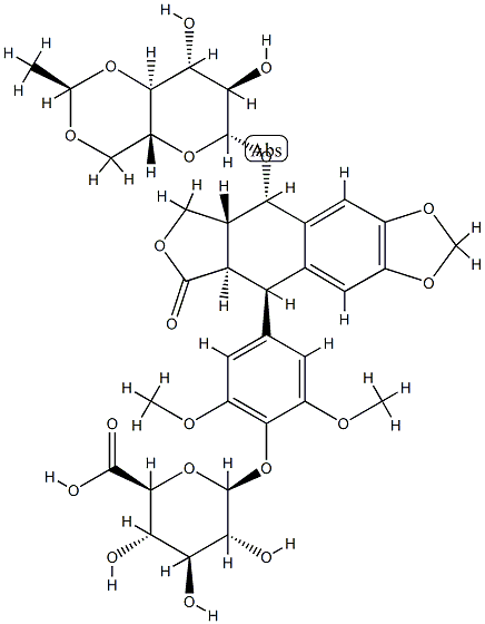 etoposide glucuronide