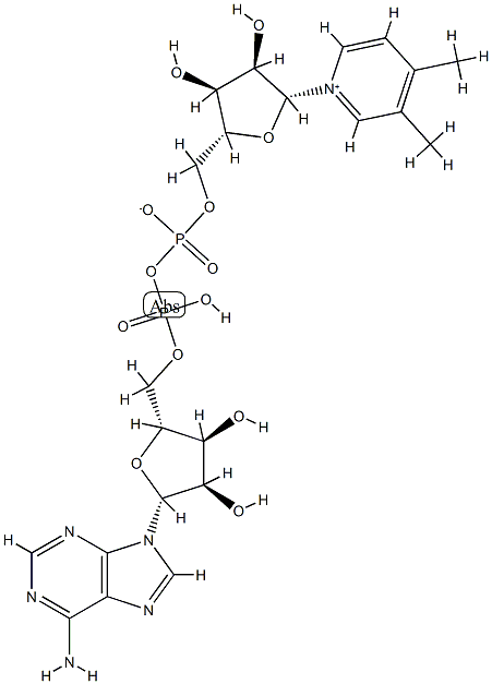 3,4-dimethylpyridine adenine dinucleotide