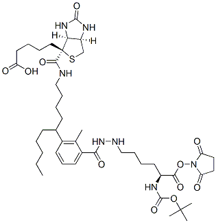 N2-t-Boc-N6-(biotinamido-6-N-caproylamido)lysine N-Hydroxysuccinimide Ester