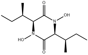 TERRAMIDEA
