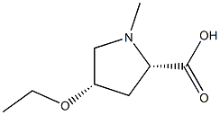 Proline, 4-ethoxy-1-methyl-, L-cis- (8CI)