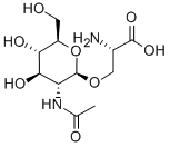 2-乙酰氨基-2-脱氧-D-吡喃葡萄糖基丝氨酸