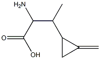 α-Amino-β-methyl-2-methylenecyclopropanepropionic acid