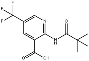 2-新戊酰胺-5-(三氟甲基)烟酸