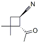 Cyclobutanecarbonitrile, 2-acetyl-3,3-dimethyl-, trans- (9CI)
