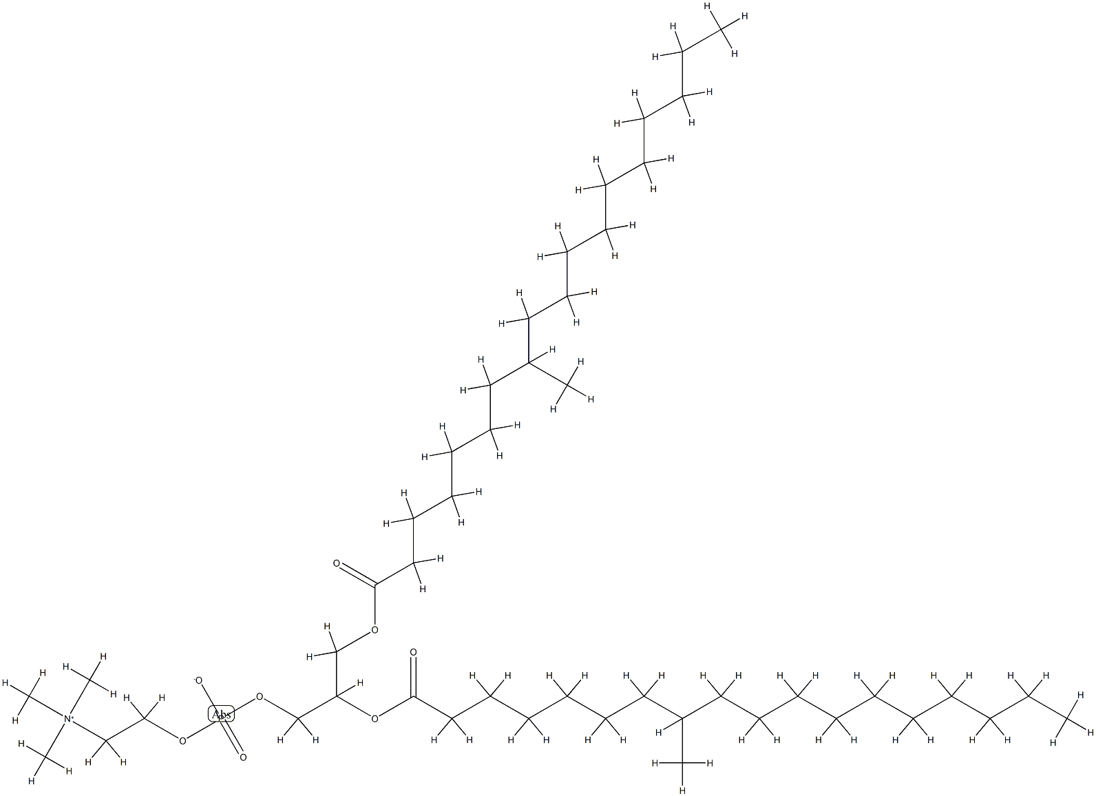 di-(8-methylstearoyl)phosphatidylcholine
