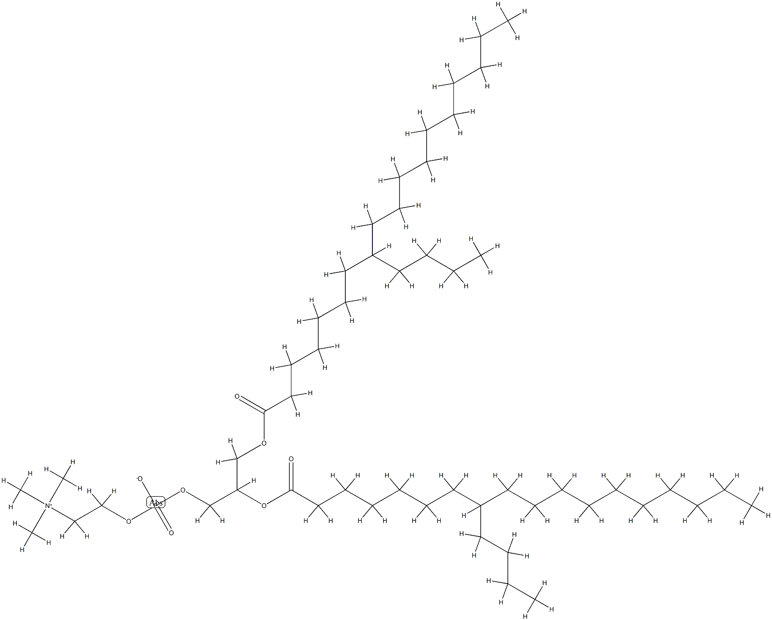 di-(8-n-butylstearoyl)phosphatidylcholine