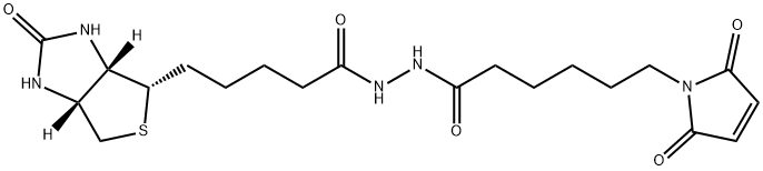 生物素-马来酰亚胺