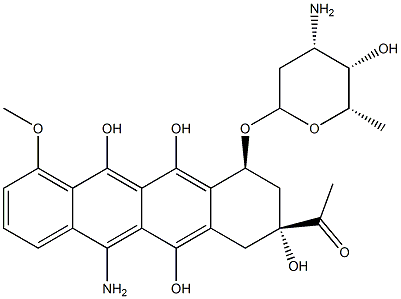 DR 22