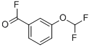 Benzoyl fluoride, 3-(difluoromethoxy)- (9CI)