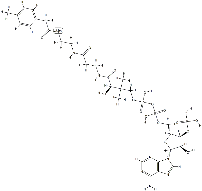 4-tolylacetyl-coenzyme A