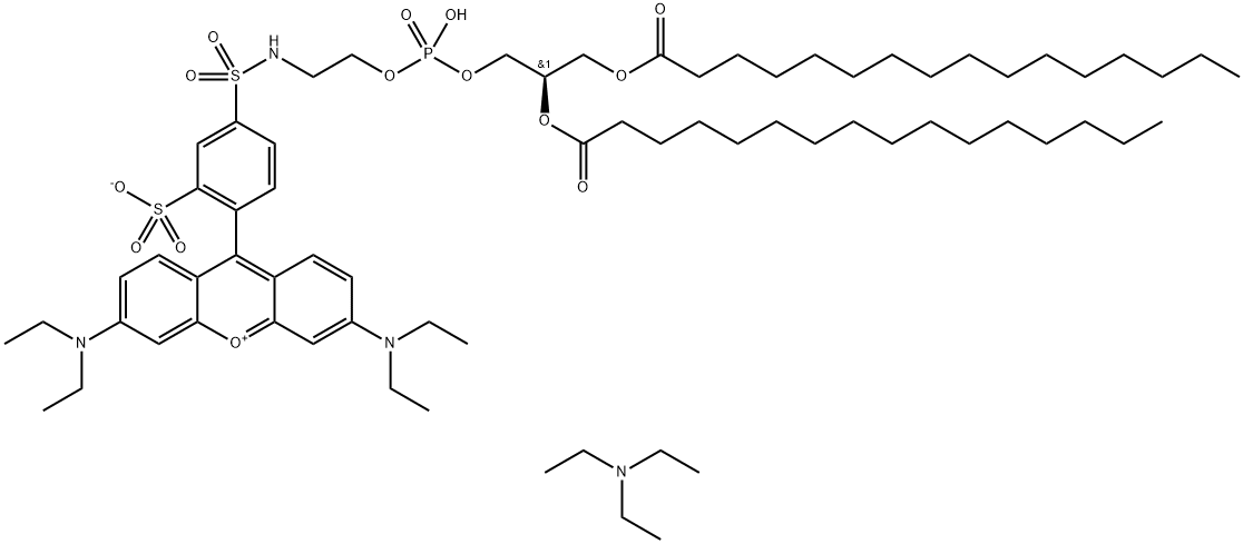 RHODAMINE DHPE [RHODAMINE B 1,2-DIHEXADECANOYL-SN-GLYCERO-3- PHOSPHOETHANOLAMINE, TRIETHYLAMMONIUM SALT]