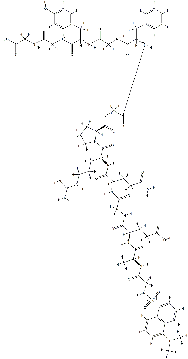 dansyl myelin basic protein, Gly(119)-Gly(131)-