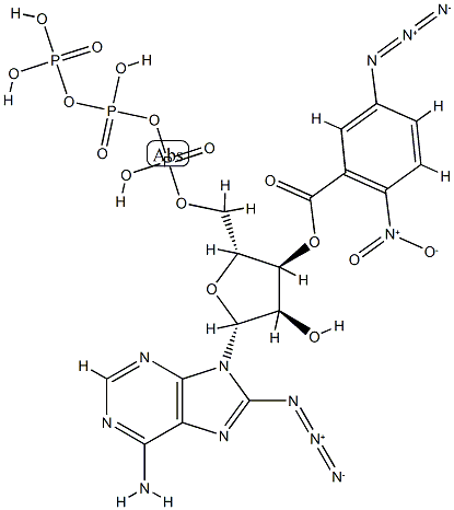 5-azido-2-nitrobenzoyl-8-azido ATP