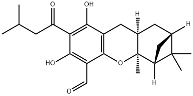 euglobal G2