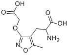 AMOA NON-NMDA GLUTAMATE RE