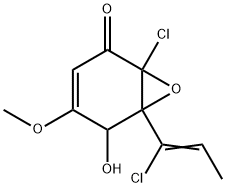 Lachnumon