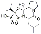 [2R-(2α,5α,10aβ,10bα)]-Octahydro-10b-hydroxy-2-(1-Methylethyl)-5-(2-Methylpropyl)-3,6-dioxo-8H-oxazolo[3,2-a]pyrrolo[2,1-c]pyrazine-2-carboxylic acid