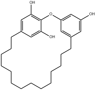 2,5-[Oxy(5-hydroxy-1,3-phenylene)(tetradecane-1,14-diyl)]resorcinol