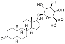 DIHYDROTESTOSTERONE GLUCURONIDE