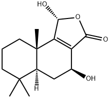 FUEGIN