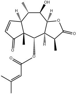 帚天人菊素B