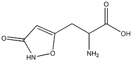 homoibotenic acid