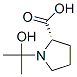 L-Proline, 1-(1-hydroxy-1-methylethyl)- (9CI)