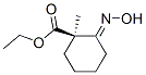 Cyclohexanecarboxylic acid, 2-(hydroxyimino)-1-methyl-, ethyl ester, (1R,2E)-