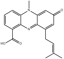 Endophenazine B