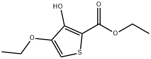 2-Thiophenecarboxylicacid,4-ethoxy-3-hydroxy-,ethylester(9CI)