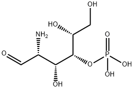 galactosamine-4-phosphate