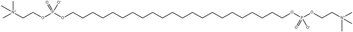 irlbacholine